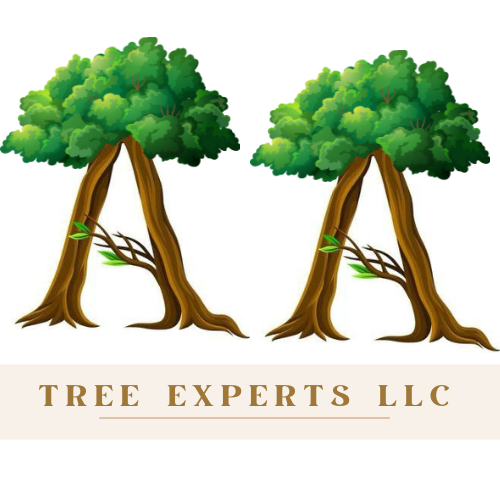 A&A TREE EXPERTS (5)